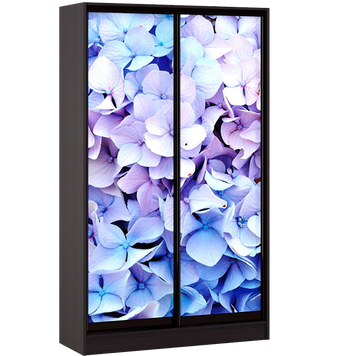 Шкаф-купе УНИ Венге 900x450x2100 мм. Комбинация 10  описание, фото, купить