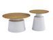 Комплект журнальных столов CT-50 Ютта дуб + белый CT-50-utta-oak/white фото 6