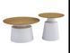 Комплект журнальных столов CT-50 Ютта дуб + белый CT-50-utta-oak/white фото 7