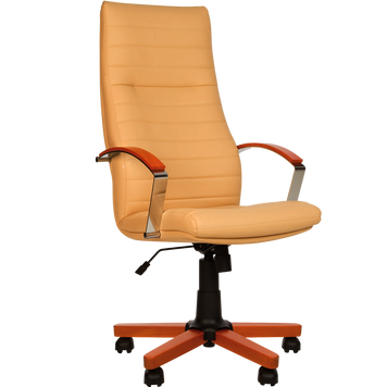 Кресло IRIS wood TILT EX4  описание, фото, купить